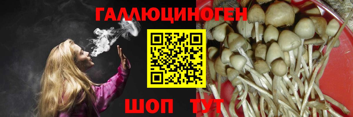 Галлюциногенные грибы Magic Shrooms  купить закладку  Красноармейск  Вход с VPN 